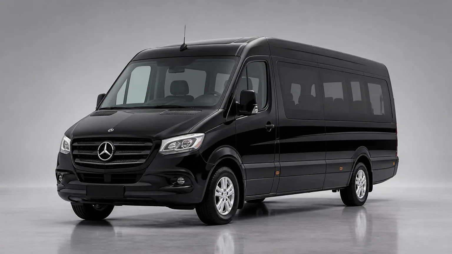 Minibus 12